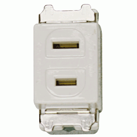 插座 2孔附蓋板(附接地)